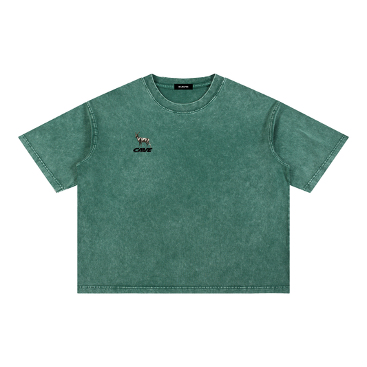 Boxy Cotton T-Shirt -GREEN/WHITE