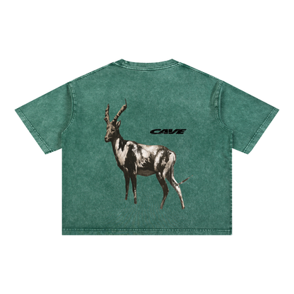 Boxy Cotton T-Shirt -GREEN/WHITE