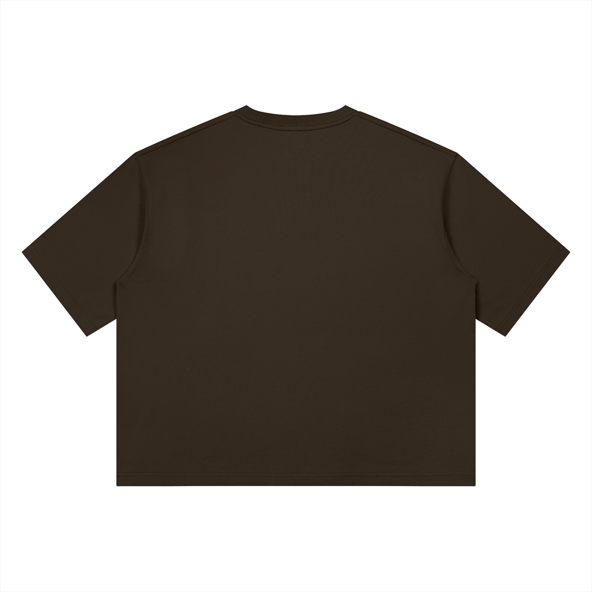 CAVE Heavyweight Box Tee - BROWN